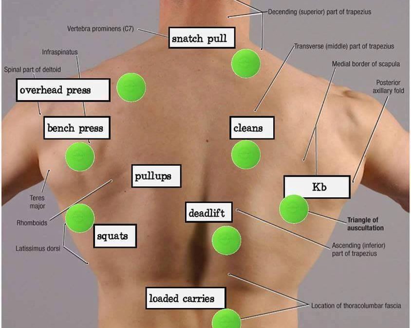 Points douloureux dans le corps nommés trigger point