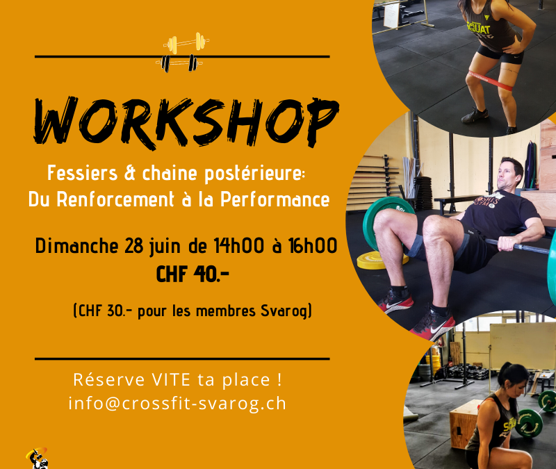 Workshop: Fessiers & Chaine posétrieure